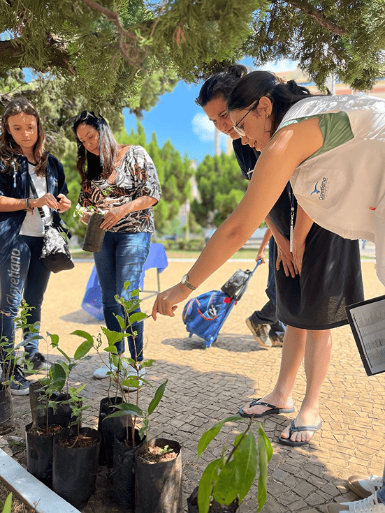 WhatsApp Image 2025-04-14 at 12.45.22